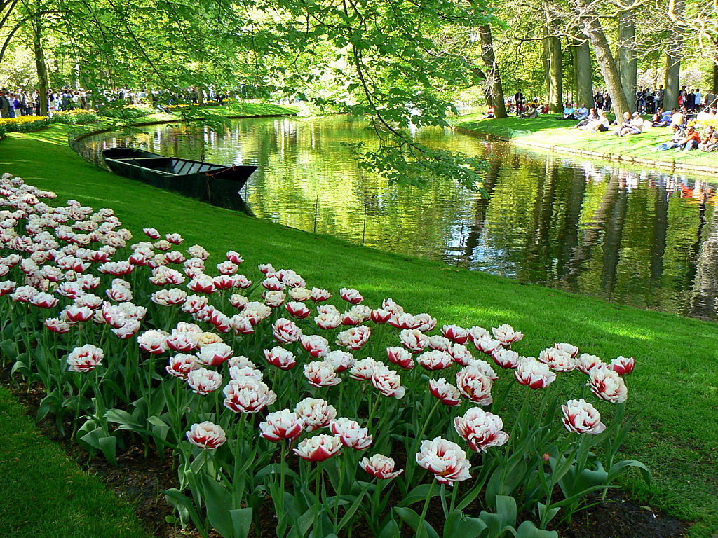  Keukenhof Tulip Gardens